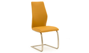 Irma Dining Chair - Brushed Steel Pumpkin (2/Box)